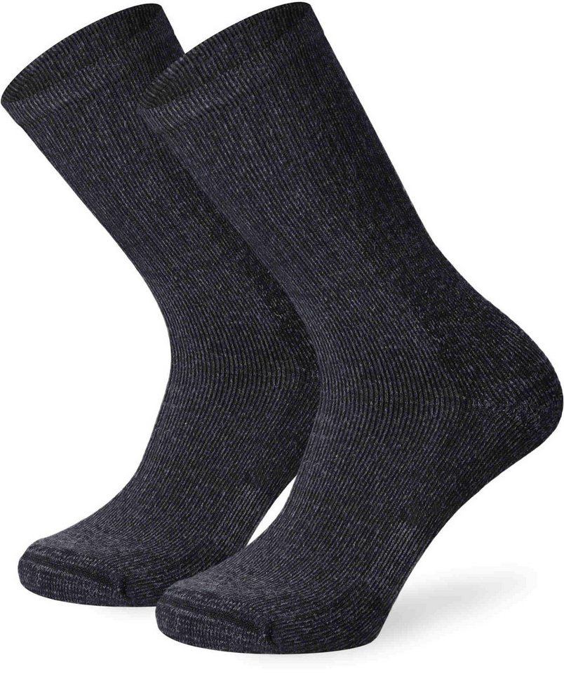 Lenz Funktionssocken Staff Worker Thermo Pro Socken - 2er Pack robust Lenz Funktionssocken Staff Worker Thermo Pro Socken - 2er Pack robust von Lenz