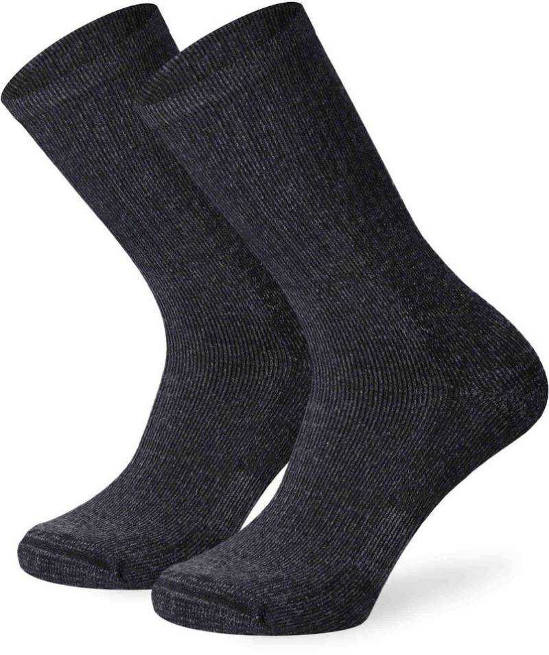 Lenz Funktionssocken Staff Worker Thermo Pro Socken - 2er Pack robust von Lenz