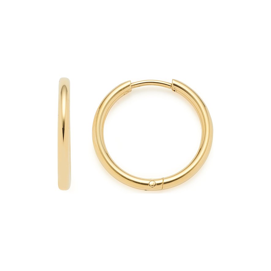 Leonardo Creolen 021623 von Leonardo