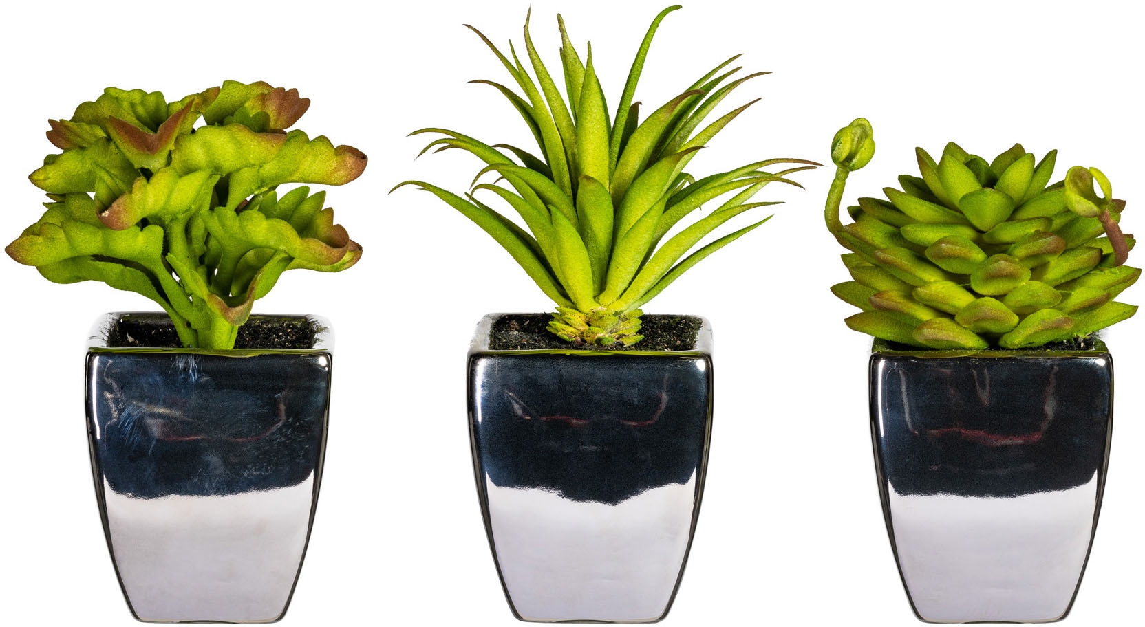 Leonique Kunstpflanze "Loreen" im Topf, 3er Set von Leonique