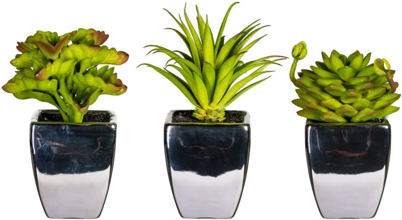 Leonique Kunstpflanze "Loreen" im Topf, 3er Set von Leonique