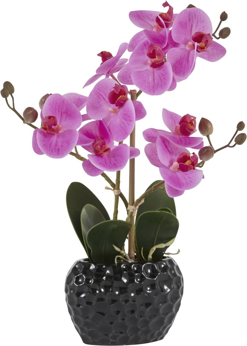 Leonique Kunstpflanze "Orchidee" Kunstorchidee, im Topf, Bestseller, über 2500 4,5-Sterne-Bewertungen von Leonique