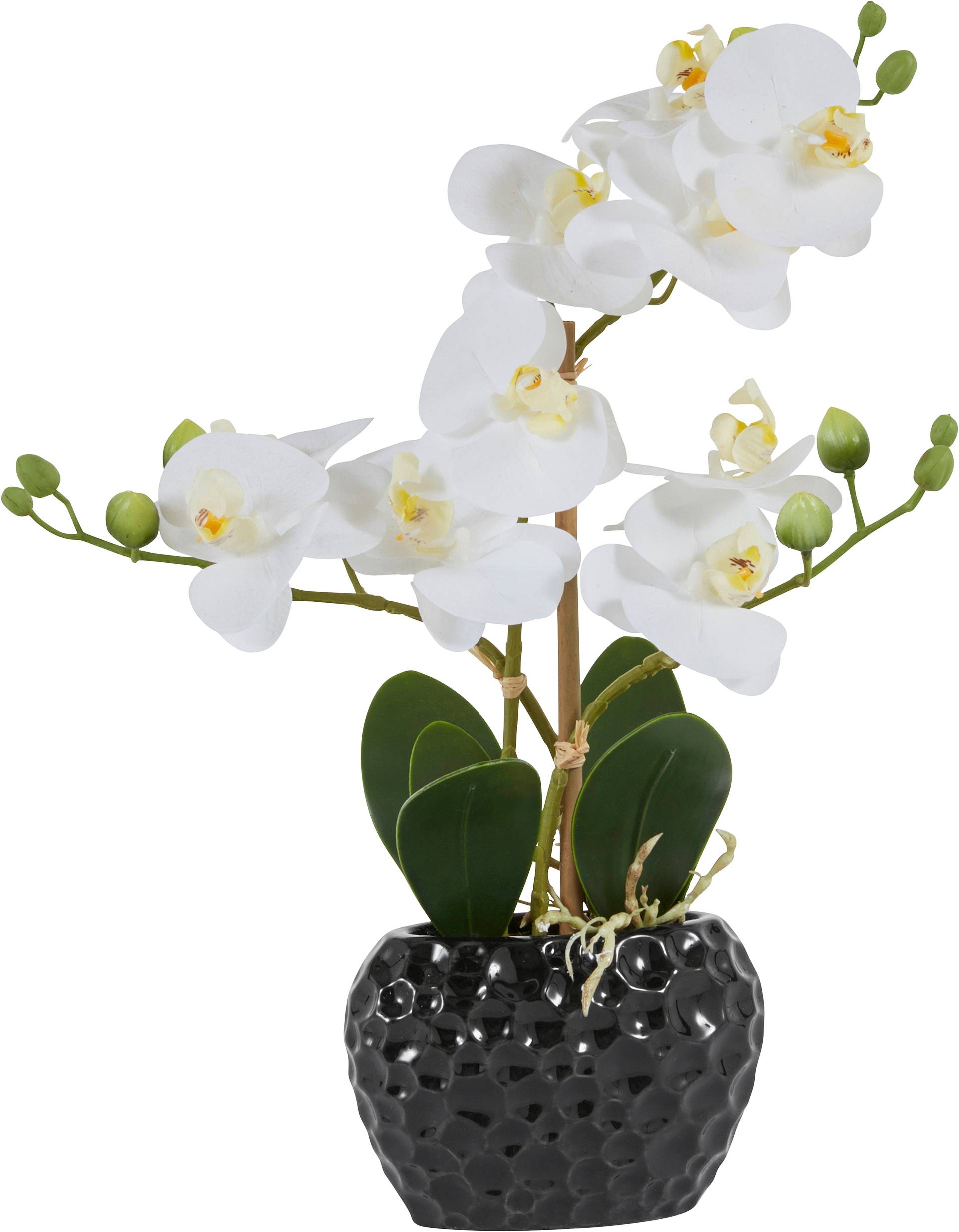 Leonique Kunstpflanze "Orchidee" Kunstorchidee, im Topf, Bestseller, über 2500 4,5-Sterne-Bewertungen von Leonique