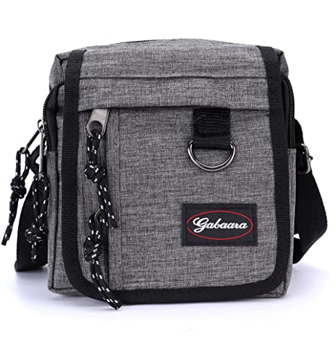 Leoodo Designer Herren Schultertasche Umhängetasche klein, Messenger Bag viele Fächer, Herrentache Herrenhandtasche für Handy Reise Wandern Freizeit, HST Farbe:Grau von Leoodo