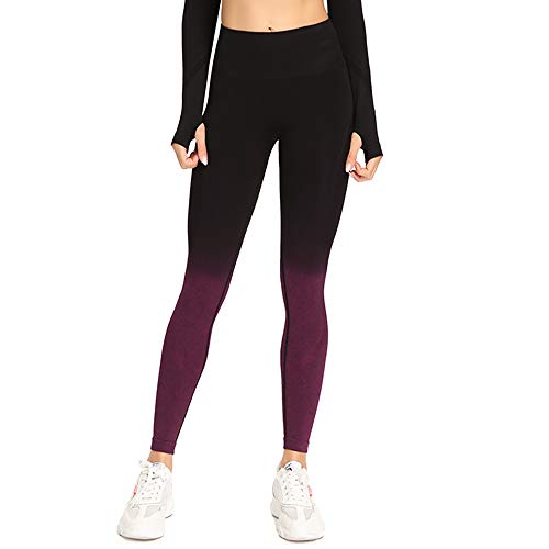 Leoyee Damen Sports Leggings Yogahose Nahtlose High Waist Training Hip-up Fitnesshose Workout Laufhose von Leoyee