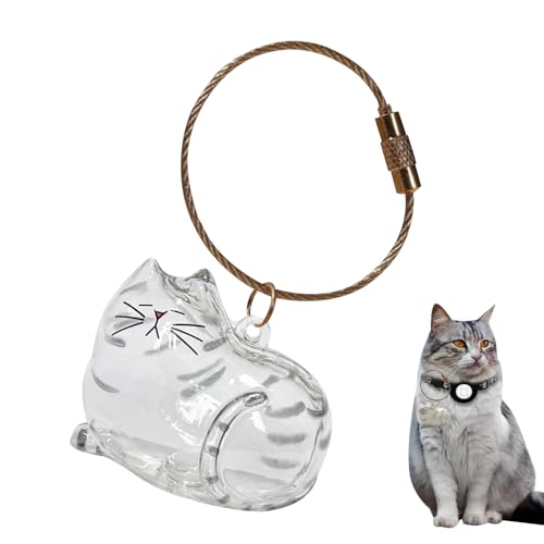 Katzenhaar Schlüsselanhänger Personalisiert, Süß Tierhaar Erinnerung Anhänger, Katzenhaar-Gedenkkapsel-Schlüsselanhänger, Interessante Transparente Aufbewahrungsbox für Katzenhaare (Silberne) von Lergas