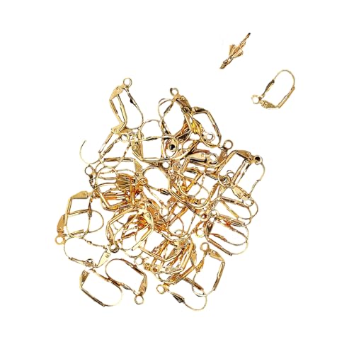Leichte Stahlohrclips Set Von 50 Schmerzbeständigen Tragen Erlebnis Französisch Design Abendkleidung Accessoires Raffinierter Clip An Ohrringen Leichte Stahlohrclips Set Von 50 Schmerzbeständigen Tragen Erlebnis Französisch Design Abendkleidung Accessoires Raffinierter Clip An Ohrringen von Lerpwige