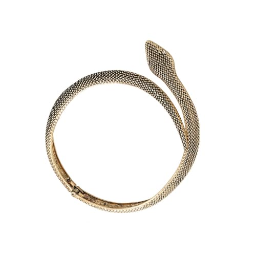 Lerpwige Schlangenförmige Halskette, stilvolle Schlüsselbeinkette, Tier-Anhänger, Partykleidung, Halskette, Festival-Zubehör für Trendsetter, Schlangen-Halskette, Einheitsgröße, Wie beschrieben, Wie von Lerpwige