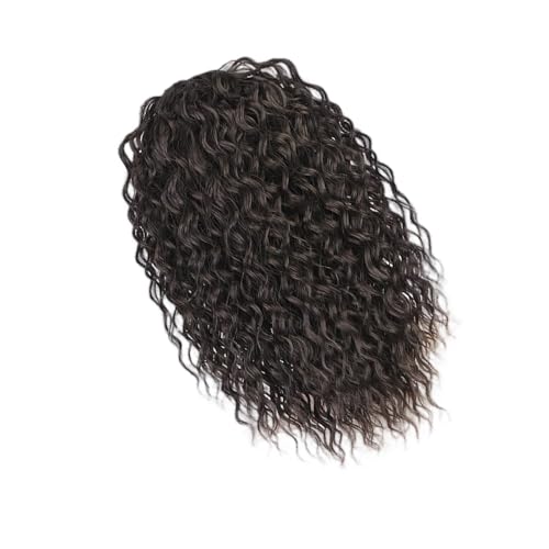 Verstellbare Zeichnung Saite Curly Perücken Pferdeschwanz 14inch Synthetic Faser Haarstück Für Frauen Cosplay Event Schnelle Frisur Lockiger Pferdeschwanzperücken von Lerpwige