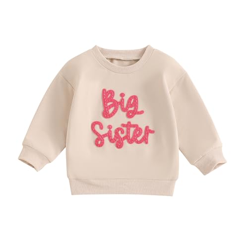 Baby Mädchen Schwestern Sweatshirt Lil/Big SIS Strampler Langarm Buchstaben Stickerei Herbst Bodysuit Big Sister Little Sister Outfits von Lerrita