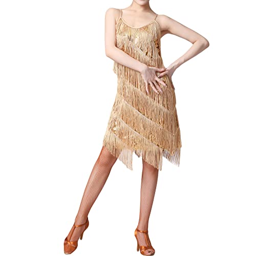 Damen Pailletten Fransenkleid Samba Tango Latein Kleid Mit Quaste 1920er Party Club Tanz Kleid Ärmellos Spaghettiträger Rückenfreies Glitzer Quaste Party Minikleid Tanzkostüm Abend Cocktailkleid von Lerrita