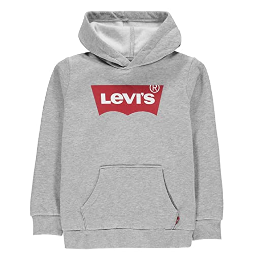 Levi's Kids batwing screenprint hoodie Jungen Grey Heather 2 Jahre von Levi's