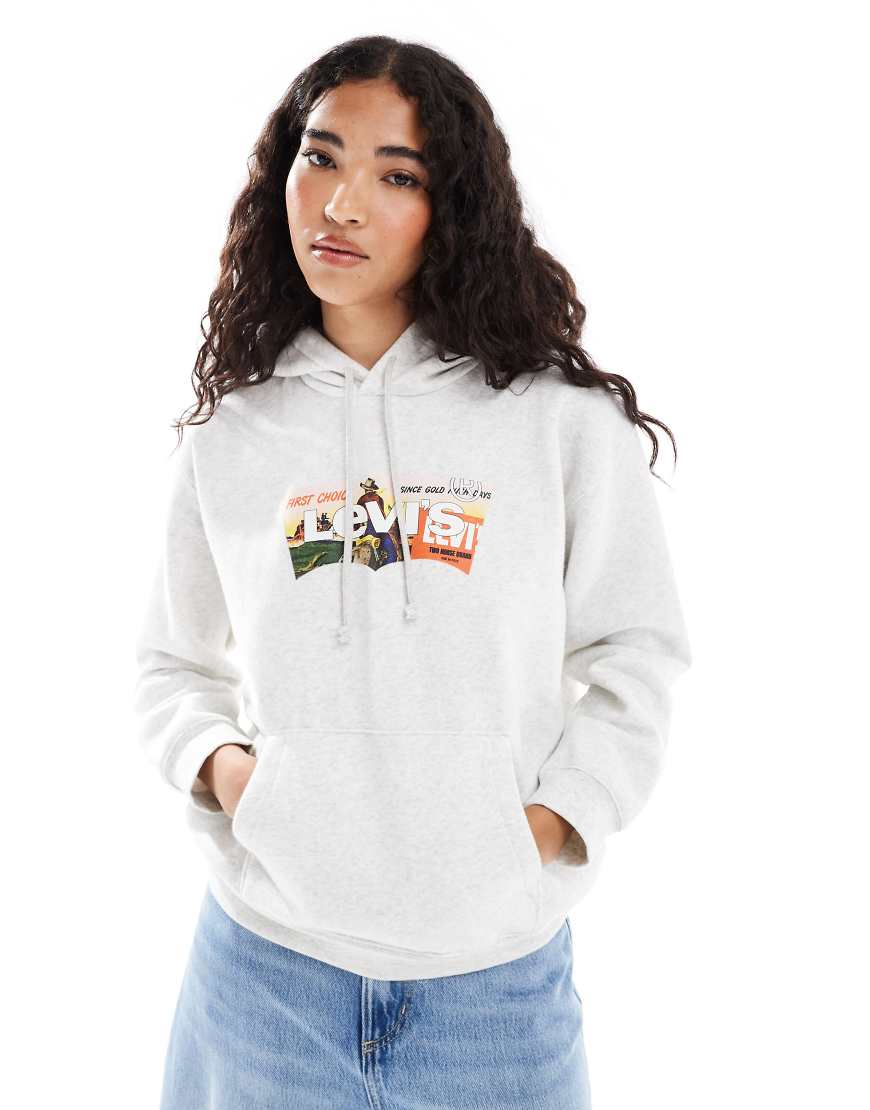 Levi's - Everyday - Kapuzenpullover in Hellgrau mit Grafik-Logoprint von Levi's