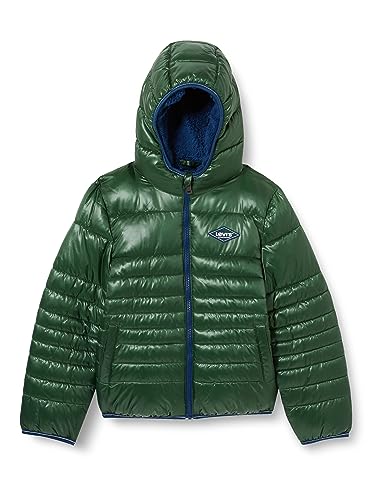 Levi's Kids Levi's kids lvb sherpa lined mdwt puffer Jungen Green Éden 10 Jahre von Levi's