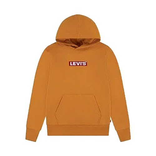 Levi's Kids Lvn boxtab pullover hoodie Jungen Desert Sun von Levi's