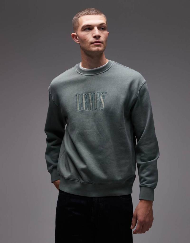 Levi's - Relaxed-Fit-Sweatshirt in Mittelgrün mit farblich abgestimmtem Logo auf der Brust von Levi's