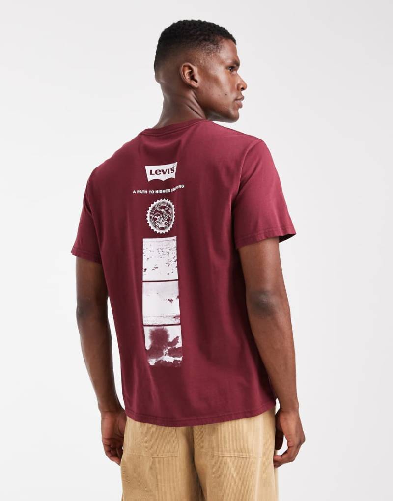 Levi's - Relaxed Fit T-Shirt in Burgunderrot mit Field Trip-Rückenprint von Levi's