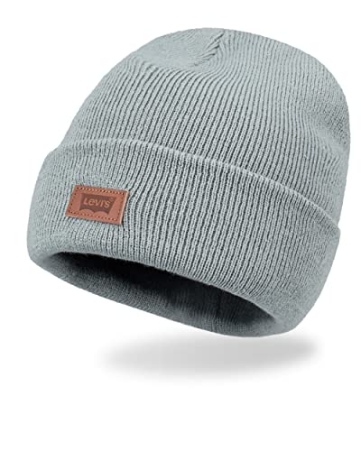 Levi's Unisex-Erwachsene All Season Comfy Leather Logo Patch Cuffed Hero Beanie-Mütze, Seafoam Solid, Einheitsgre von Levi's