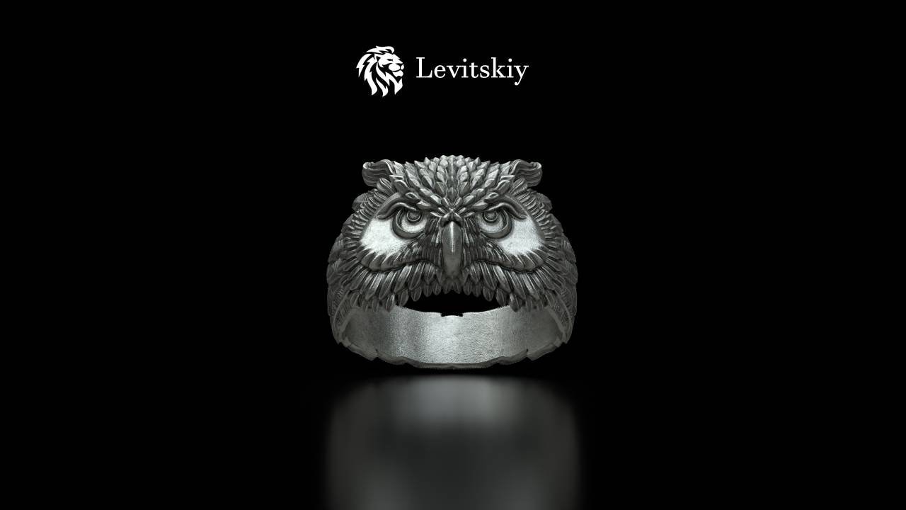 Massiv Silber Eule Siegel Mann Ring, Großer Eulen Herren Schmuck, Kopf Männer Weihnachten Geschenk Ring von LevitskyJewerly