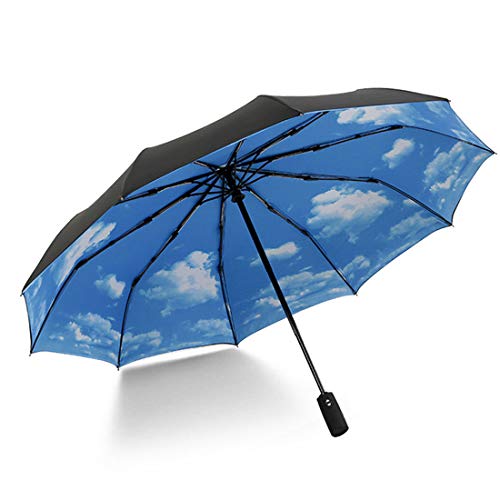 Levoberg Regenschirm Sturmfest automatik Himmel, Taschenschirm automatik sturmfest bis 140 km/h, Sehr stark und Robust Sturm geschützt durch Doppelkappe, leicht & kompakt, stabil von Levoberg