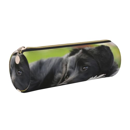 LfearTesa Bleistiftbeutel, Schreibwaren-Organizer-Box, Federmäppchen aus Leder,Niedliches schwarzes Labrador-Hundemuster von LfearTesa