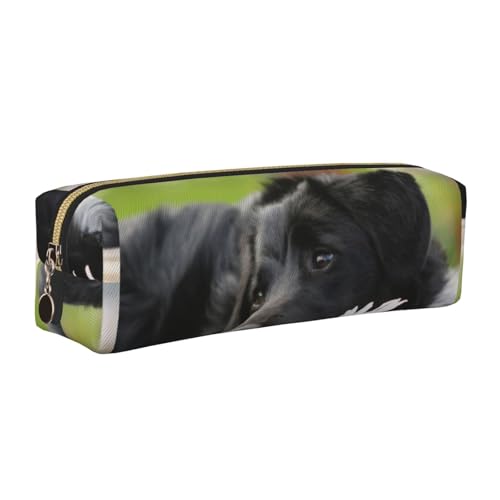 LfearTesa Bleistifttasche, Federmäppchen aus Leder, Schreibwaren-Organizer-Box,Niedliches schwarzes Labrador-Hundemuster von LfearTesa