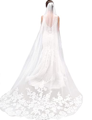 LianShi Brautschleier - Einlagiger Hochzeitsschleier Mit Spitze-Stickerei, 3m (Elfenbeinfarben) von LianShi