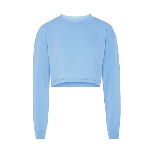 Libbi Women's Damen Langärmliges Pullover 100% Polyester mit Rundhalsausschnitt SANFTES BLAU Größe M Sweatshirt, 38 von LIBBI