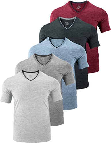 5er-Pack Herren-T-Shirts mit V-Ausschnitt, Dry Fit, Active Athletic Kurzarm Workout Tops, Performance Gym Tees (erhältlich in Übergröße), Heather Grays/Hellblau/Schwarz/Kastanienbraun, 5X-Groß von Liberty Pro