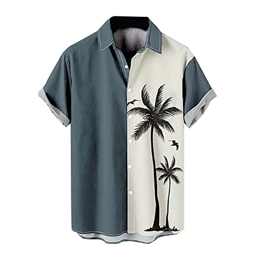 T Shirts Männer Druckknopf Hemd Herren Trendy Klassisch T-Shirt Grafik Freizeithemd Kurzarm Strandhemden Sommerhemd Locker Reversausschnitt Kurze Ärmel Party Sport Training Radsport Top von Lidssacde