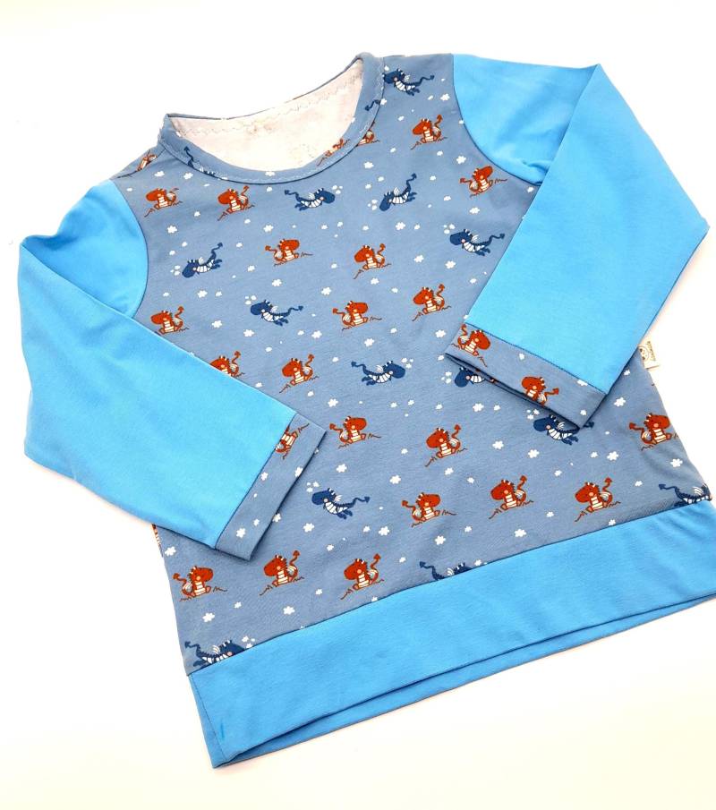 Langarmshirt Gr. 104 Aus Baumwolljersey Mit Kleinen Drachen von Lieblingsshop4You