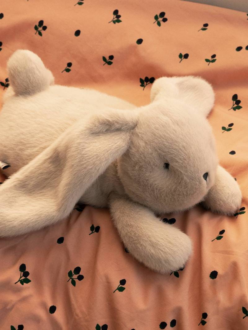 Baby Kuschelhase PAULIN beschwert von Liewood