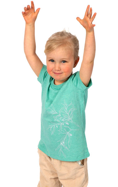 Life-Tree Shirt aus Biobaumwolle für Kinder "Olive Branch" Rose Clay/Heather Green von Life-Tree