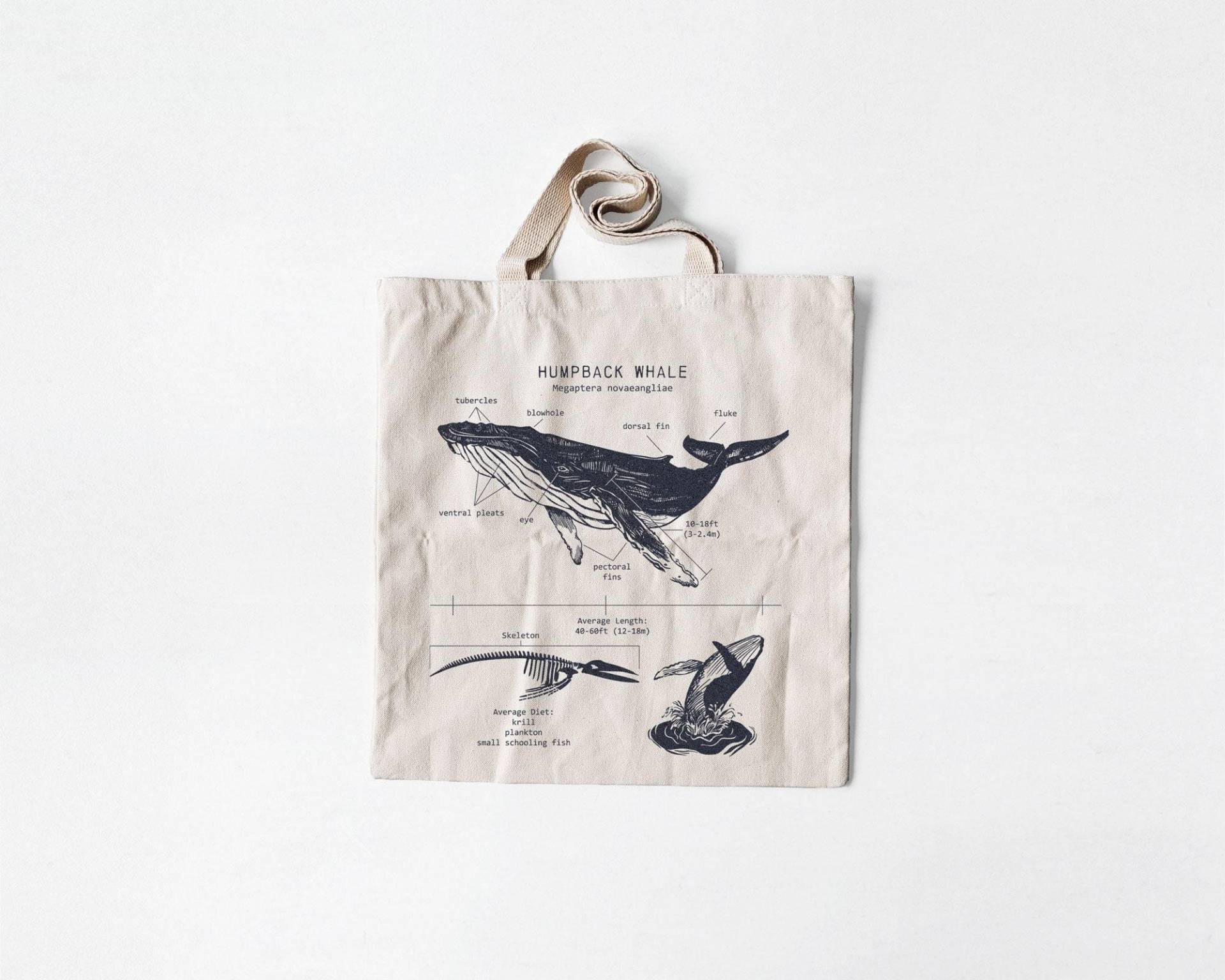 Buckelwal Anatomie Canvas Tragetasche Siebdruck Meeresbiologie Kunst Buckelwal Anatomie Canvas Tragetasche Siebdruck Meeresbiologie Kunst von LifeShines