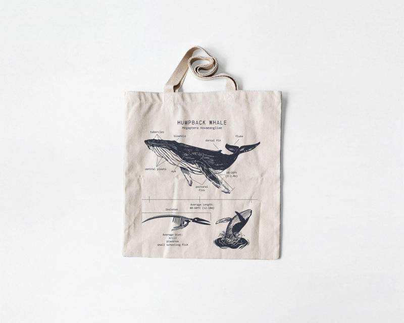 Buckelwal Anatomie Canvas Tragetasche Siebdruck Meeresbiologie Kunst Buckelwal Anatomie Canvas Tragetasche Siebdruck Meeresbiologie Kunst von LifeShines