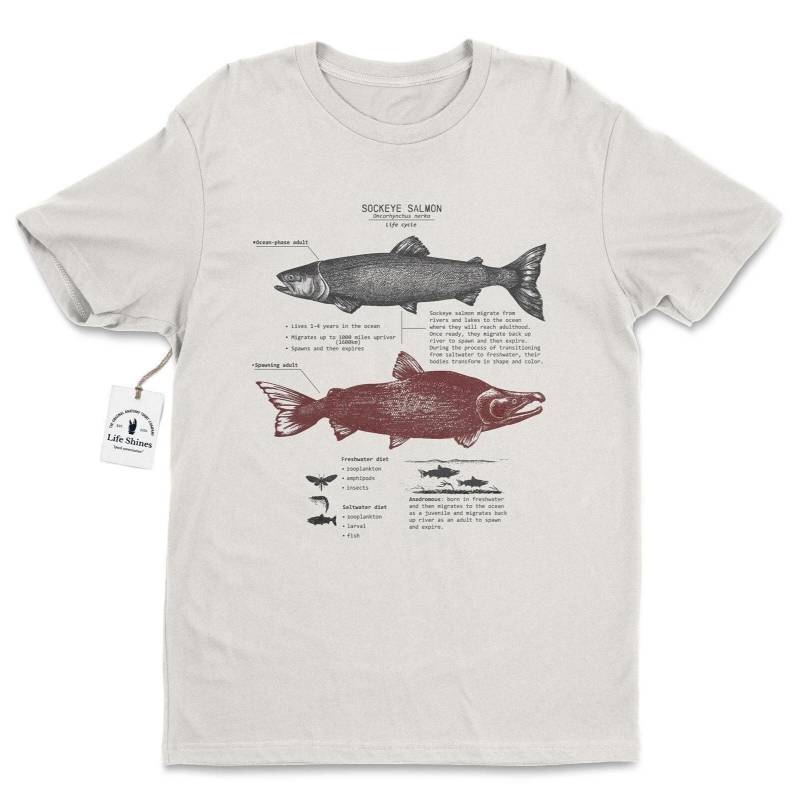 Lachs Lebenszyklus T-Shirt, Rotlachs Shirt, Alaska Meeresbiologie Lachswanderung Original Kunst von LifeShines