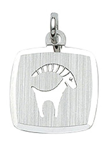 Sternzeichen Anhänger Steinbock aus 925 echt Silber von Lifestyle Schmuck