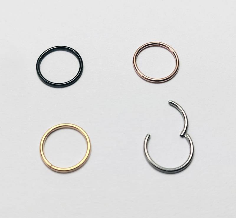 0, 8Mm(20G Nasenpiercing Segmentring Septum Nase Ring Brust Lippen Scharnier Clicker Sehr Dünner 10 Mm 8 7 6 Gold Silber von LilaLaVi