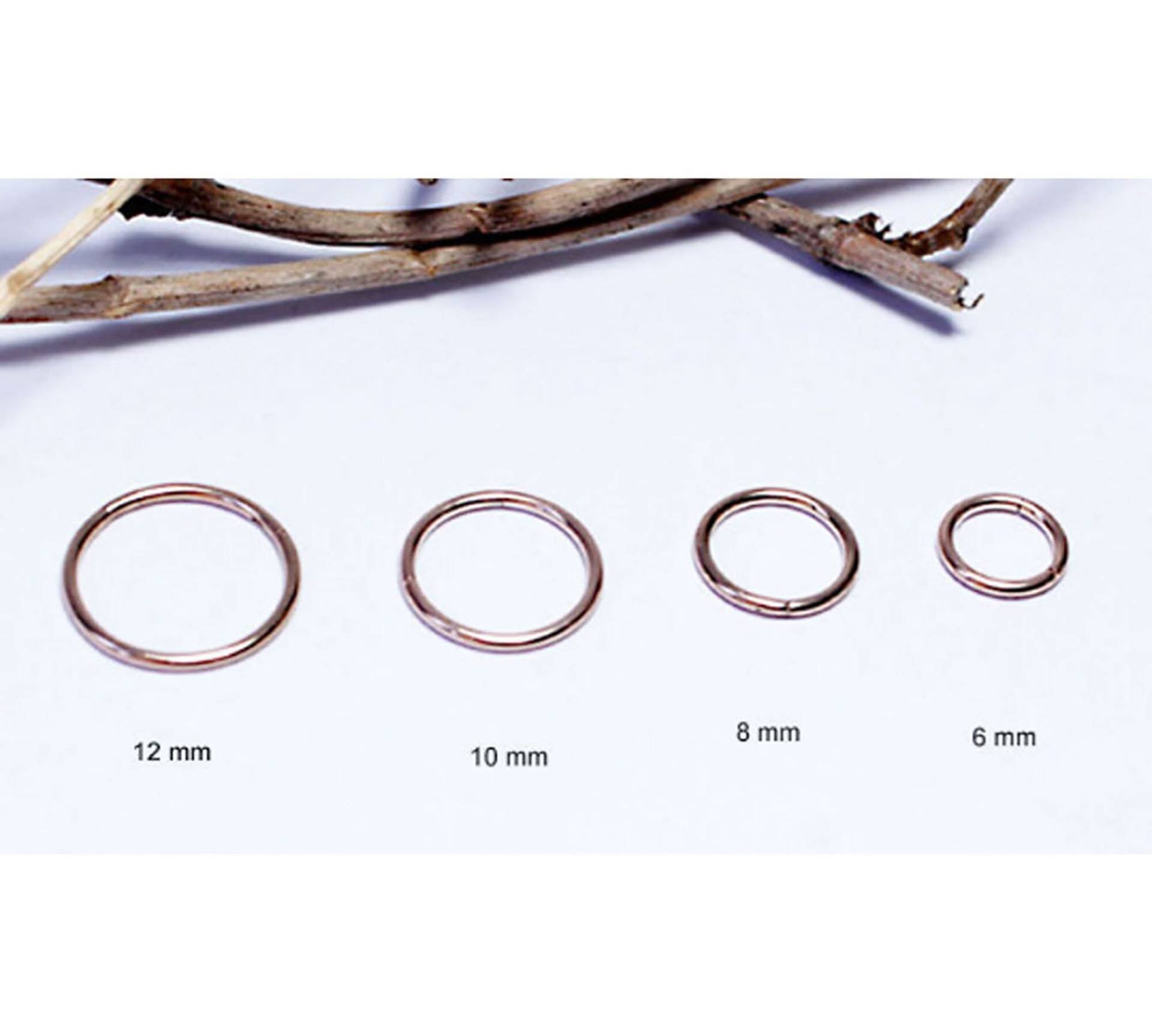 0, 8 Mm/ 1Mm/1, 2Mm/1, 6 Mm Nasenpiercing Segmentring Septum Nase Ring Brust Lippen Scharnier Clicker Roségold Auf Chirurgenstahl 0, 8 Mm/ 1Mm/1, 2Mm/1, 6 Mm Nasenpiercing Segmentring Septum Nase Ring Brust Lippen Scharnier Clicker Roségold Auf Chirurgenstahl von LilaLaViPiercing