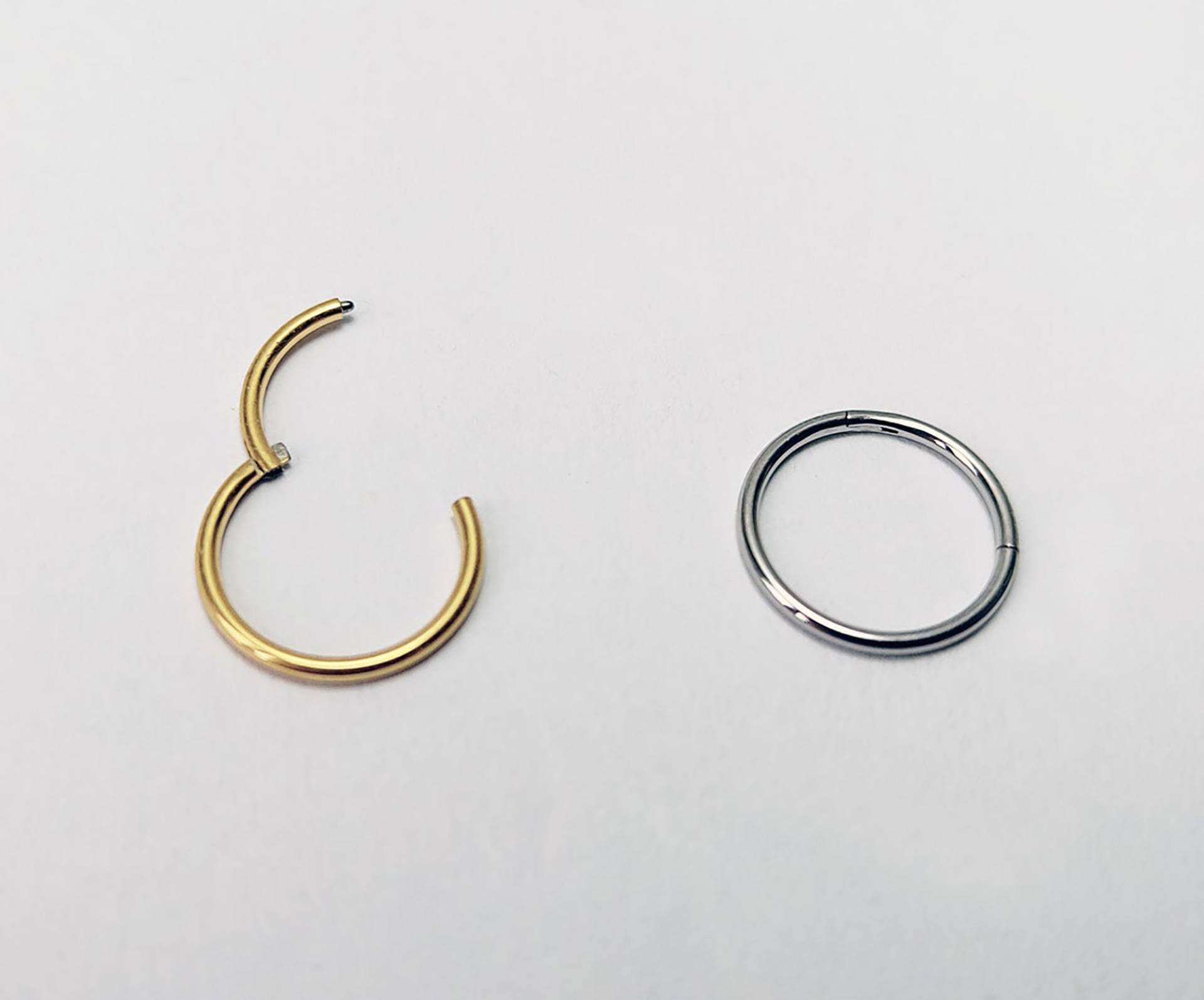 0, 8mm(20G Titan Nasenpiercing Segmentring Septum Nase Ring Brust Lippen Scharnier Clicker Sehr Dünner 6/7 8mm Gold Silber 0, 8mm(20G Titan Nasenpiercing Segmentring Septum Nase Ring Brust Lippen Scharnier Clicker Sehr Dünner 6/7 8mm Gold Silber von LilaLaViPiercing
