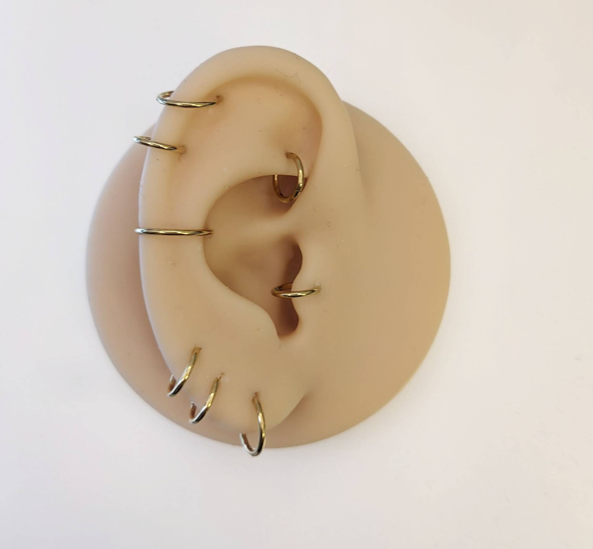Dünne Ohrringe Ohrpiercing Nasenring Septum Segmentring 6 Mm 8 10 Gold Silber Rosegold Helix Conch Ring Knorpelohrring Tragus Dünne Ohrringe Ohrpiercing Nasenring Septum Segmentring 6 Mm 8 10 Gold Silber Rosegold Helix Conch Ring Knorpelohrring Tragus von LilaLaViPiercing