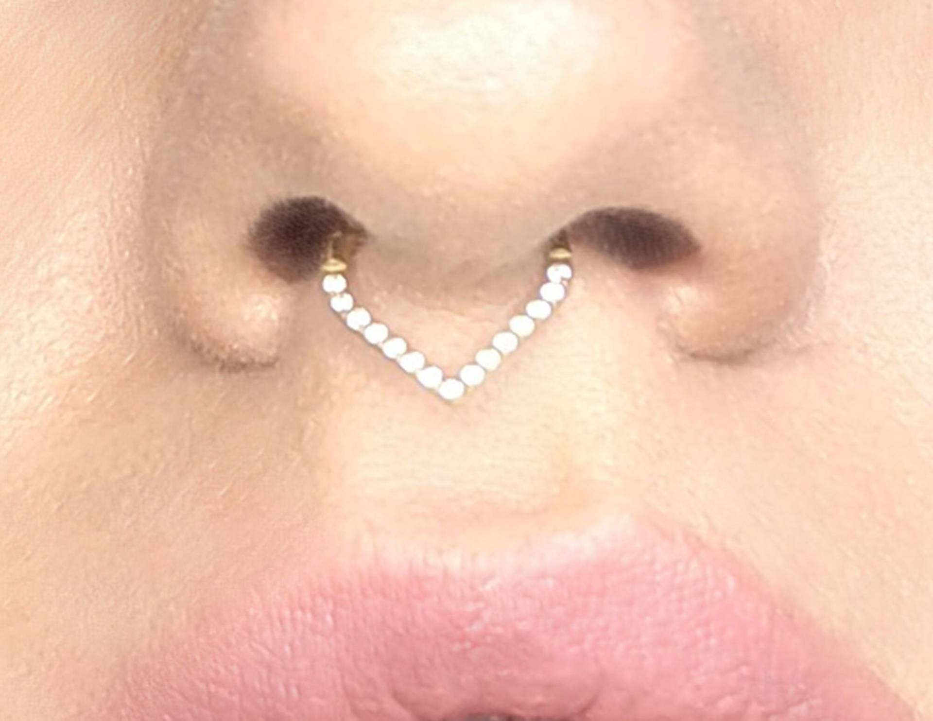 Titan V Förmiger Septum Ring Triangle Nasenring Nasenpiercing /Daith Ring/Helix Ohrringe/Tragus Ohrringe/Knorpel Piercing/ Titan V Förmiger Septum Ring Triangle Nasenring Nasenpiercing /Daith Ring/Helix Ohrringe/Tragus Ohrringe/Knorpel Piercing/ von LilaLaViPiercing