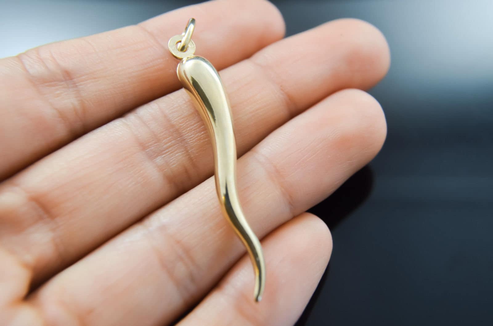 14K Gold Horn Charm Anhänger Corno 3D Cornicello Good Luck Cuervo Italiano Buena Suerte Small Extra Large 14K Gold Horn Charm Anhänger Corno 3D Cornicello Good Luck Cuervo Italiano Buena Suerte Small Extra Large von LildreamStore