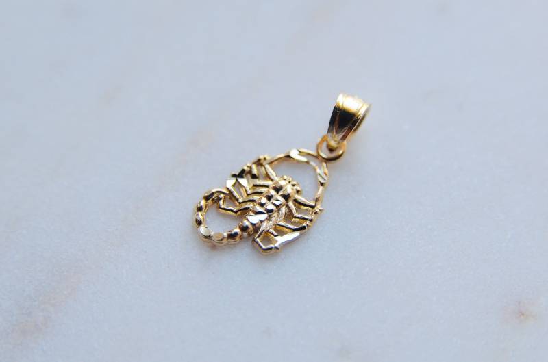 Echtes 14K Gelbgold Mini Skorpion Anhänger Sternzeichen Charm Halskette New Escorpion Dije Oro Echtes 14K Gelbgold Mini Skorpion Anhänger Sternzeichen Charm Halskette New Escorpion Dije Oro von LildreamStore