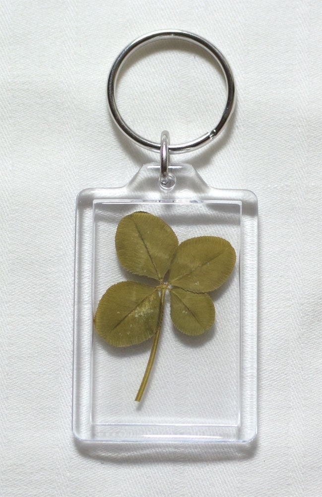 Schlüsselanhänger - Echtes Vierblättriges Kleeblatt Glücksbringer Glück Geschenk von Liliaceashop