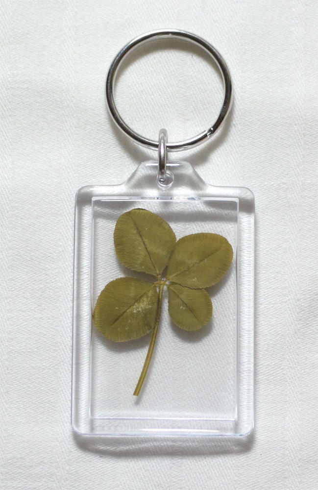 Schlüsselanhänger - Echtes Vierblättriges Kleeblatt Glücksbringer Glück Geschenk Schlüsselanhänger - Echtes Vierblättriges Kleeblatt Glücksbringer Glück Geschenk von Liliaceashop
