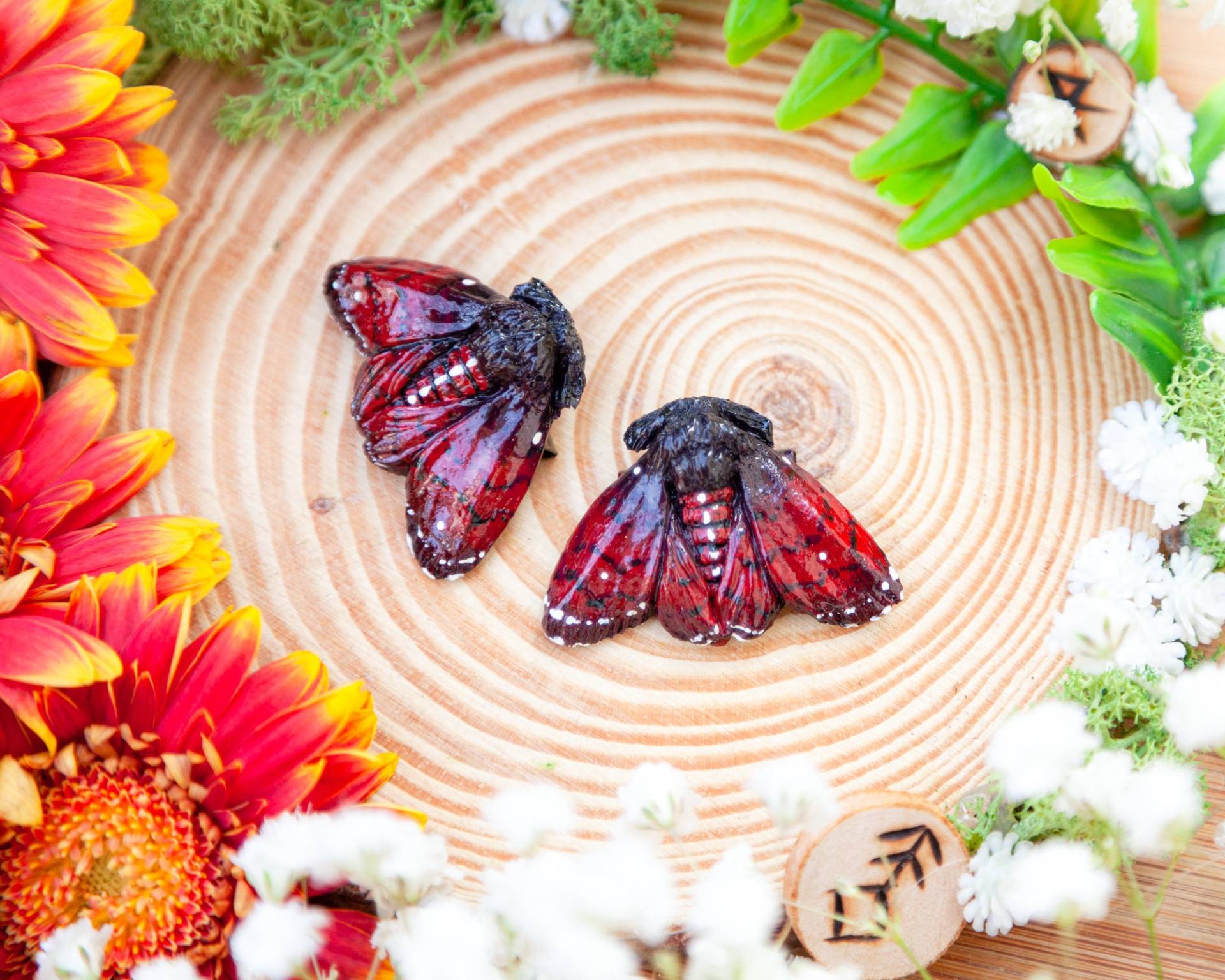 1x Motten Brosche - Rot/Schwarz Moth Motte von LilifIlaneARTWORK