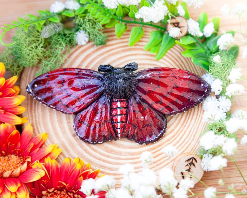 Große Motten Brosche in Rot/Schwarz - Moth Motte Große Motten Brosche in Rot/Schwarz - Moth Motte von LilifIlaneARTWORK
