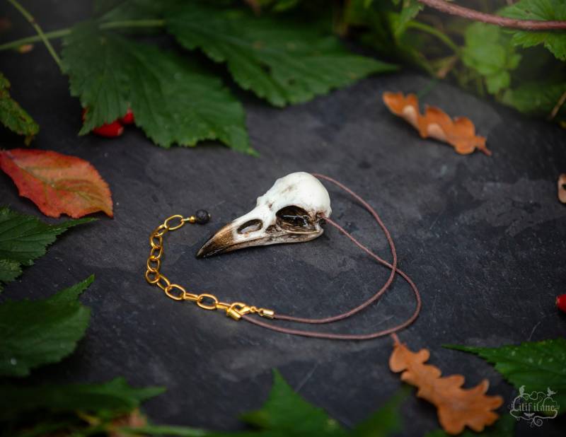 Rabenschädel Replikat Kette - Weiß/ Gold Raven, Crow Necklace Rabe Krähe Rabenschädel Replikat Kette - Weiß/ Gold Raven, Crow Necklace Rabe Krähe von LilifIlaneARTWORK