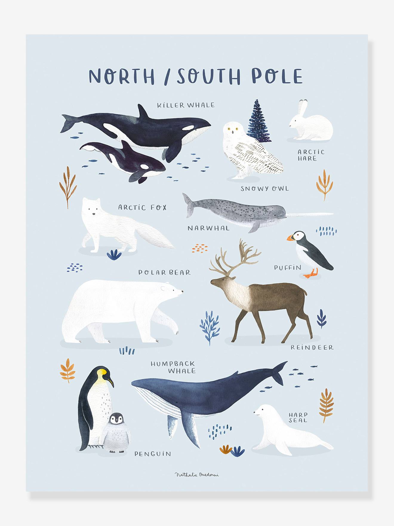 Kinderzimmer Poster LIVING EARTH Nordpol/Südpol LILIPINSO von Lilipinso